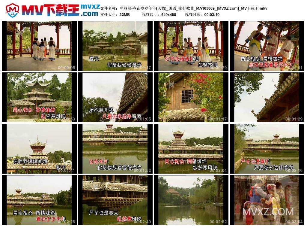 邓丽君-春在岁岁年年(人物)_国语_流行歌曲_MA105869
